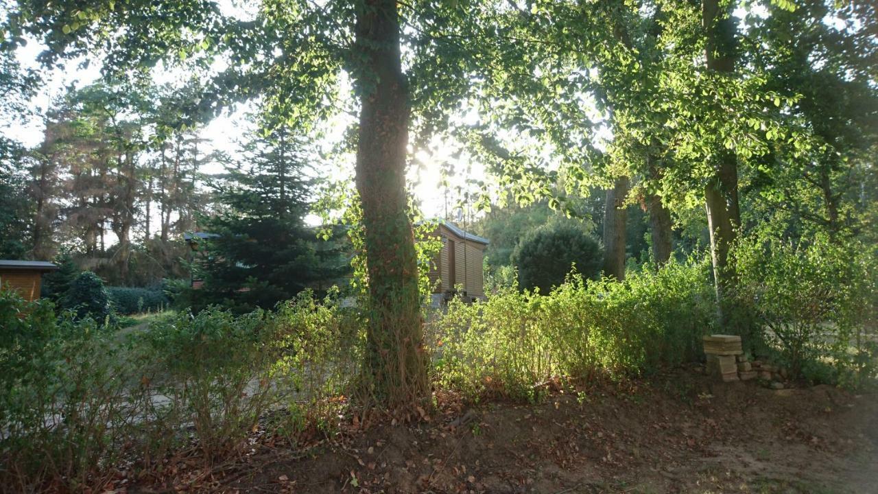 Villa Waldhaus Halvor Zichtau Exterior foto